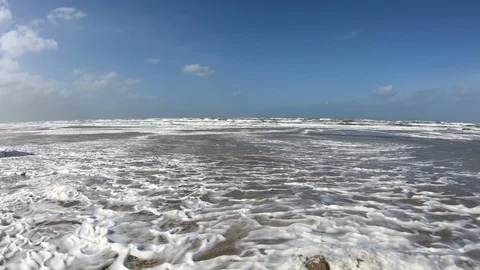 Beach with algae foam, nature experience storm Stock Footage 118228840