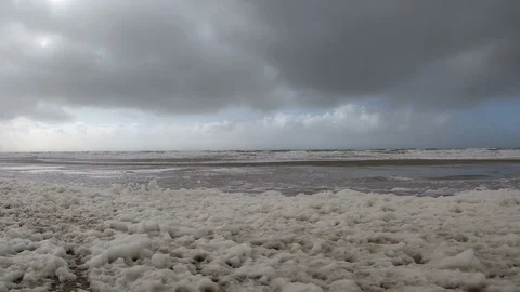Beach with algae foam, nature experience storm Stock Footage 118228870