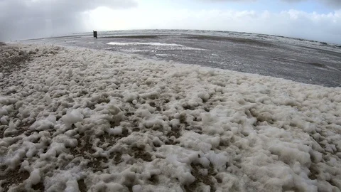 Beach with algae foam, nature experience storm Stock Footage 118228928