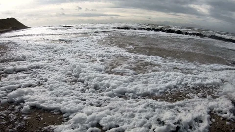Beach with algae foam, nature experience storm Stock Footage 118229206