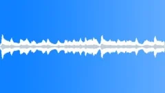 Beach Ambience Sound Effect