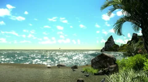 Beach and birds Stock Footage 20442999