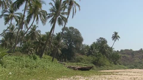 Beach and boat Video stock 22070532
