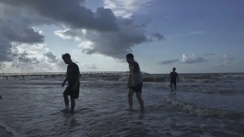 Beach and Boys Video stock 219471746