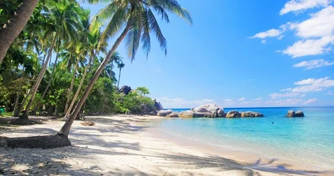 Beach and coconut palm trees. Koh Tao, Thailand Stock Footage 122955700