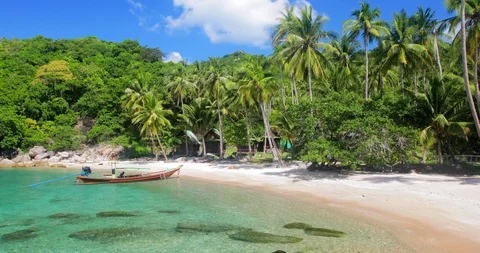 Beach and coconut palm trees. Koh Tao, Thailand Stock Footage 122957585