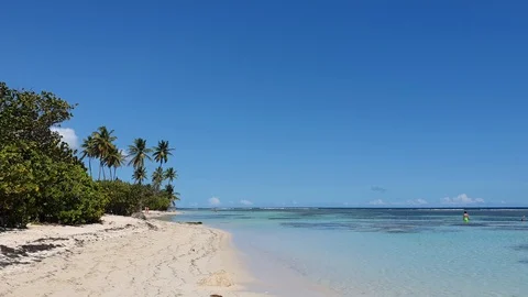 Beach and coconut palm trees, caribbean summer Stock Footage 127429093