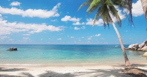 Beach and coconut palm trees. Koh Tao, Thailand Stock-Footage 127830974