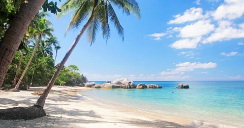 Beach and coconut palm trees. Koh Tao, Thailand Stock-Footage 127831345