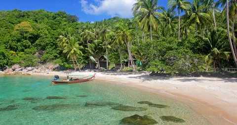 Beach and coconut palm trees. Koh Tao, Thailand Stock Footage 129209820