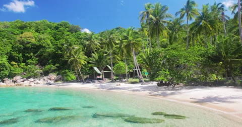Beach and coconut palm trees. Koh Tao, Thailand Stock-Footage 132642130