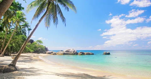 Beach and coconut palm trees. Koh Tao, Thailand Stock-Footage 132644078