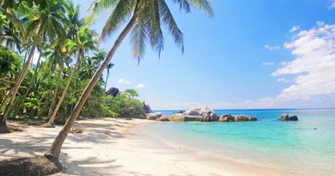 Beach and coconut palm trees. Koh Tao, Thailand Stock-Footage 134333434