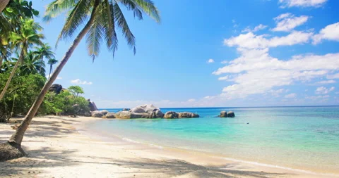 Beach and coconut palm trees. Koh Tao, Thailand Stock-Footage 134333554