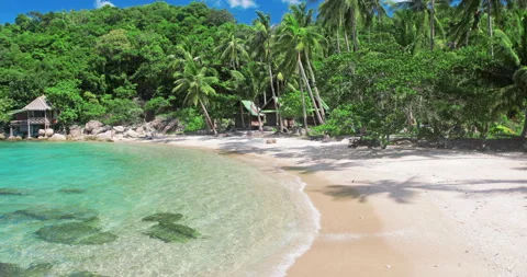 Beach and coconut palm trees. Koh Tao, Thailand Stock-Footage 134335703