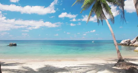 Beach and coconut palm trees. Koh Tao, Thailand Stock-Footage 134335938