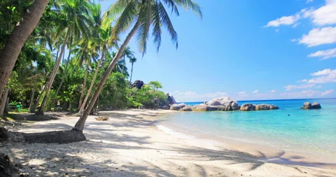 Beach and coconut palm trees. Koh Tao, Thailand Stock-Footage 154676956