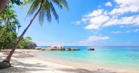 Beach and coconut palm trees. Koh Tao, Thailand Stock-Footage 154677347