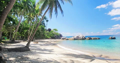 Beach and coconut palm trees. Koh Tao, Thailand Stock-Footage 170398630