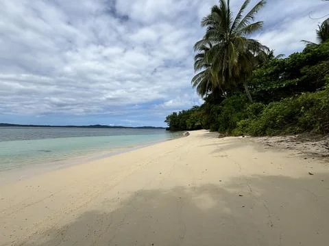 Beach and coconut tree Stock Photos