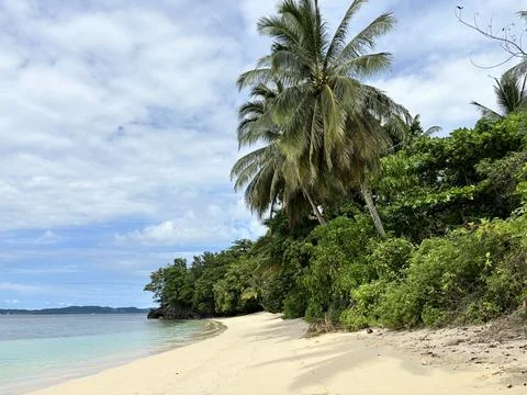 Beach and coconut tree Stock Photos
