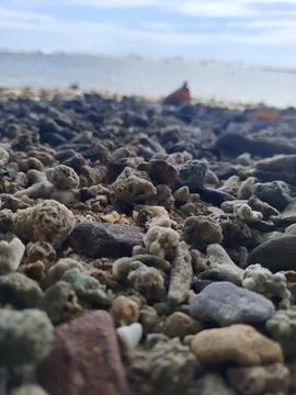 Beach and coral ref Stock Photos