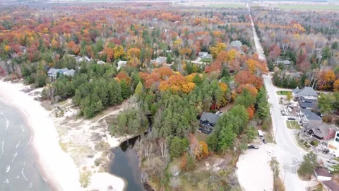 Beach and fall foliage Stock Footage 169544532