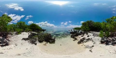 Beach and mangroves. VR 360. Stock Footage 253282905