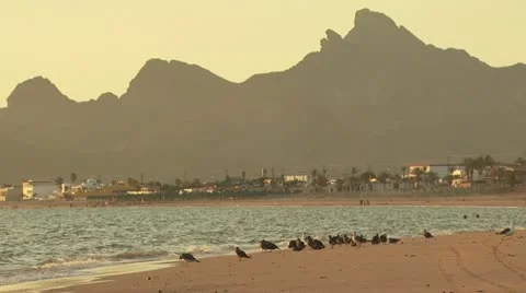 Beach and Mountain View Video stock 19222192