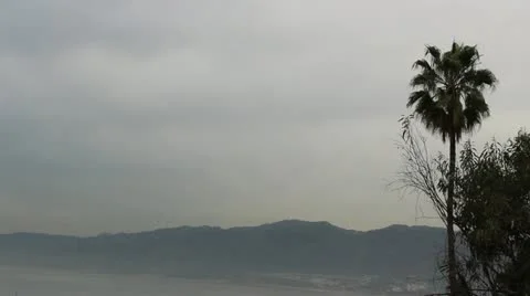 Beach and Mountains with a palm tree Stock Footage