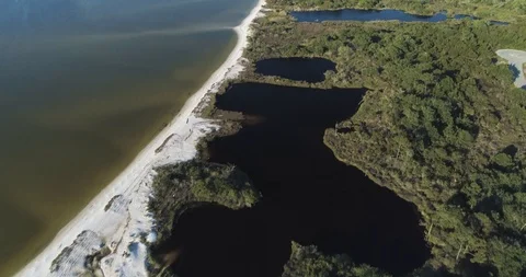 Beach and natural habitats on the south coast at Fort Morgan drone aerial 4K Stock Footage
