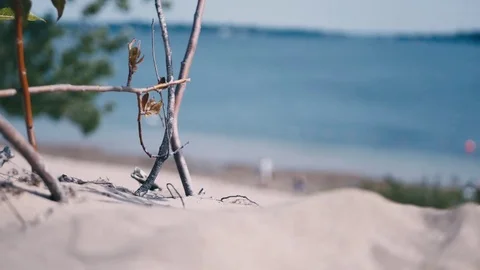The beach and ocean background in 4K Stock Footage 74503541
