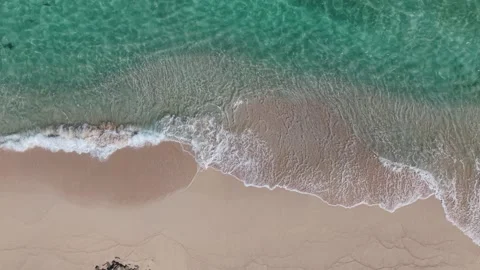 Beach and Ocean in Bermuda Stock Footage 313752106