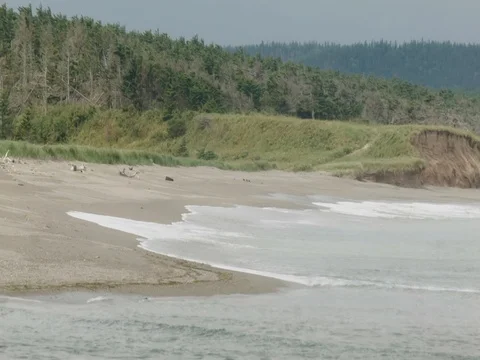 Beach and ocean Stock Footage 80672032