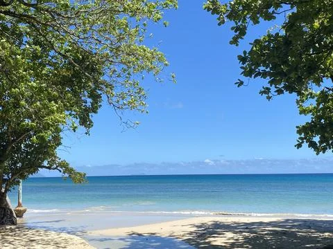 Beach and Ocean Stock Photos