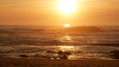 Beach and Ocean at sunset with soft golden light and bird flying by Stock Footage 103116061
