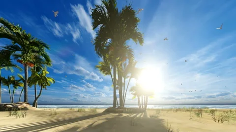 Beach and palm trees with seagull flying Stock Footage 194834368