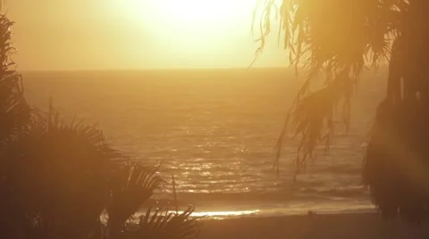 Beach and palm trees sunset Stock Footage 56343186