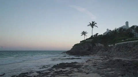 Beach and Palms at Sunset Stock Footage 82049599