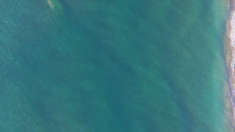 Beach and Reef Stock Footage 84227027