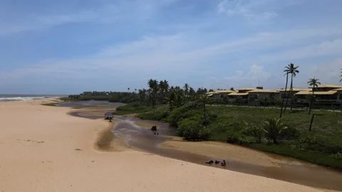 Beach and River Stock Footage 145690241