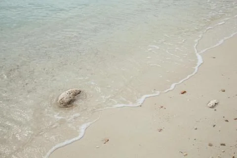 Beach and rocks. Stock Photos