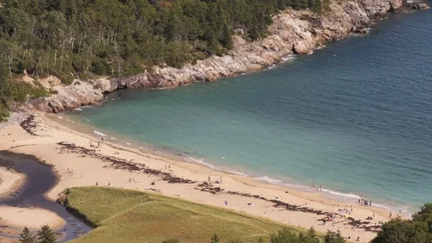 Beach and rugged coast at Acadia National Park in Maine, USA. Stock Footage 100056096