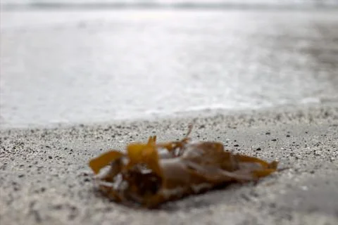 Beach and sand Stock Photos