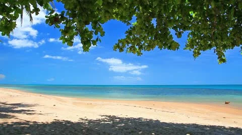 Beach and sea Stock-Footage 10809786