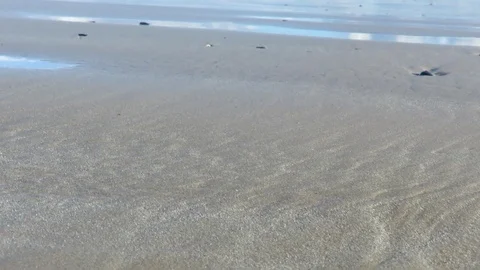 Beach and Sea Stock Footage 98413698