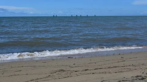 Beach and sea. Video stock 205511766
