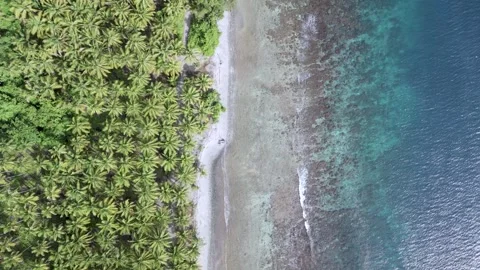 Beach and sea Stock Footage 302227943