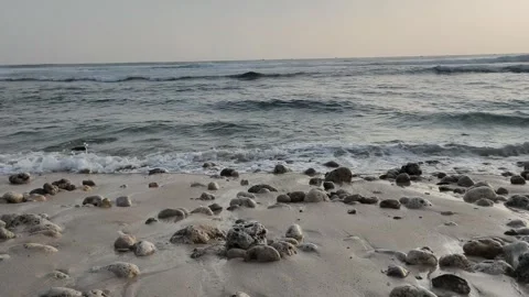 Beach and sea Stock Footage 341662737