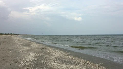Beach and sea landscape Stock Footage 95080341